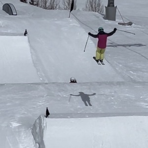 Fundraising Page: Jozy Swallows